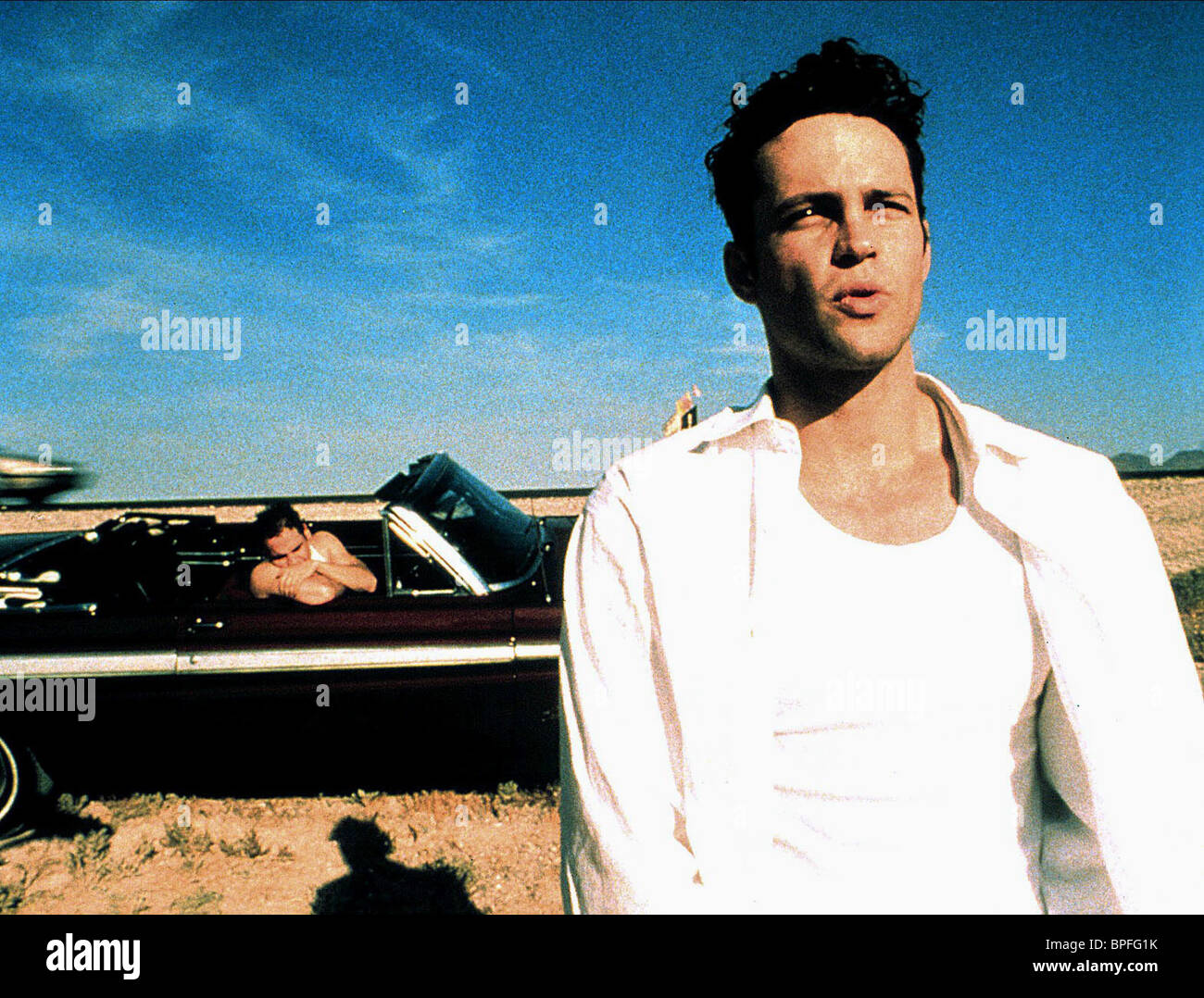 john swingers vince vaughn Human penis facts