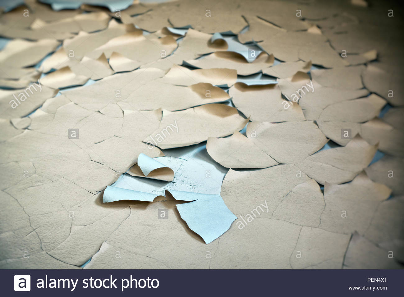 Alte Wandfarbe ist zusammengerollt an der Wand und gibt eine ... Alte Wandfarbe ist zusammengerollt an der Wand und gibt eine ...