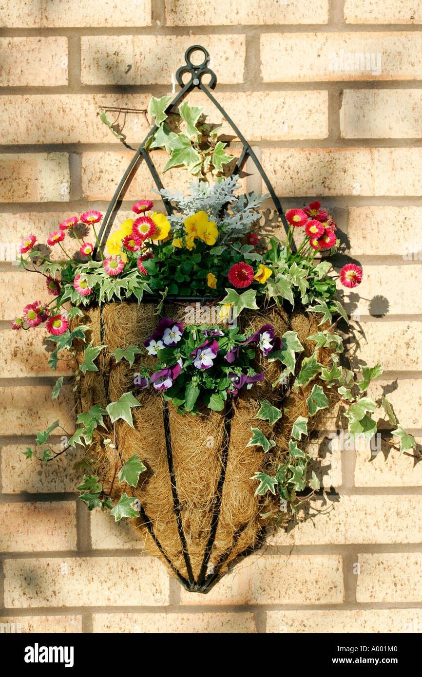 Typisch englische Heimat Wandteller Vase mit Blumen Straßenlaterne Wohnstätte Unterkunft Architekturdetail Architektur Bogen Ziegel Stockfoto