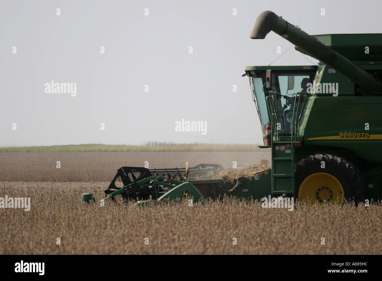 Soja-Ernte Ohio Bauernhof Mähdrescher Traktor Soja Stockfoto