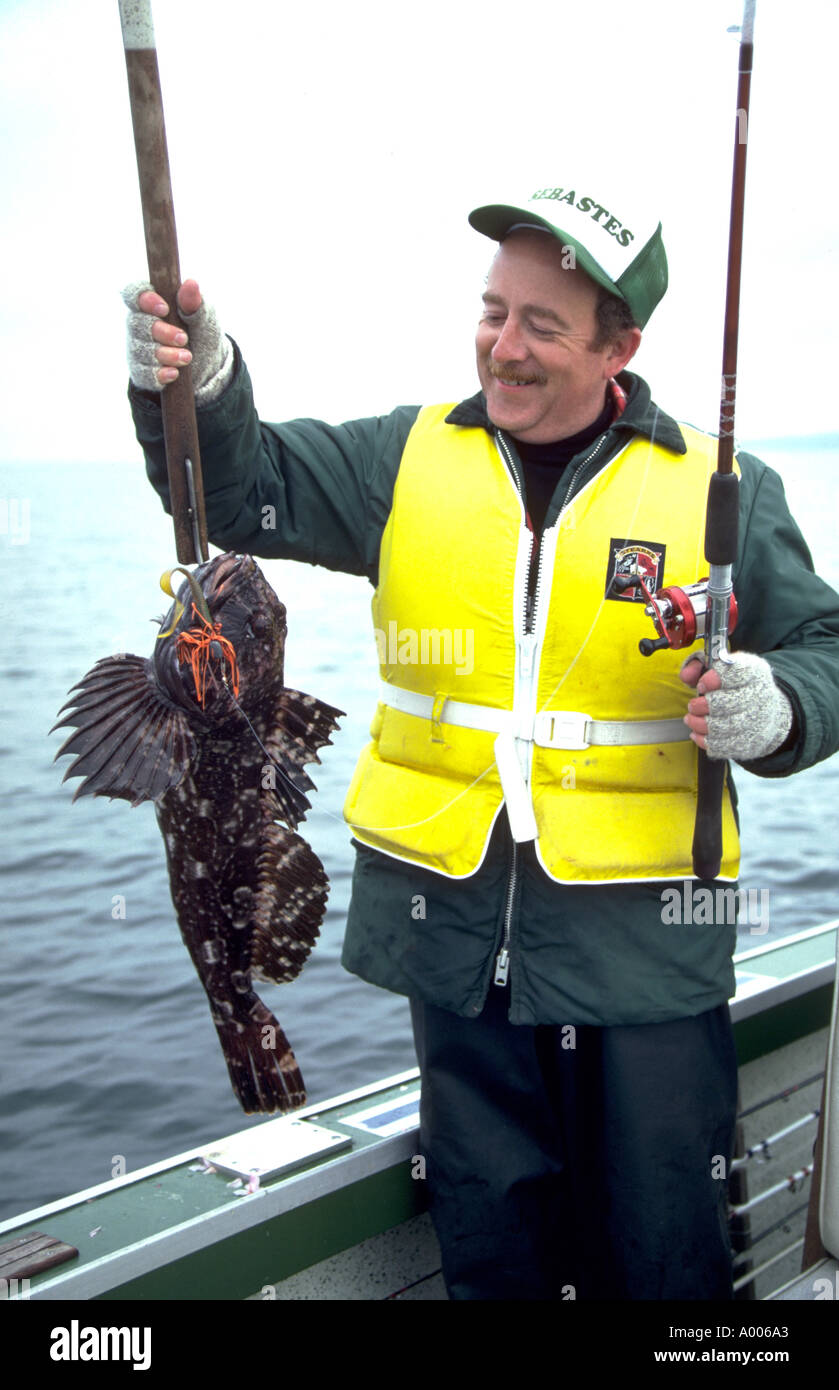 Ed Langlois mit einem Cabezone ein Mitglied der Familie Seeskorpion Stockfoto