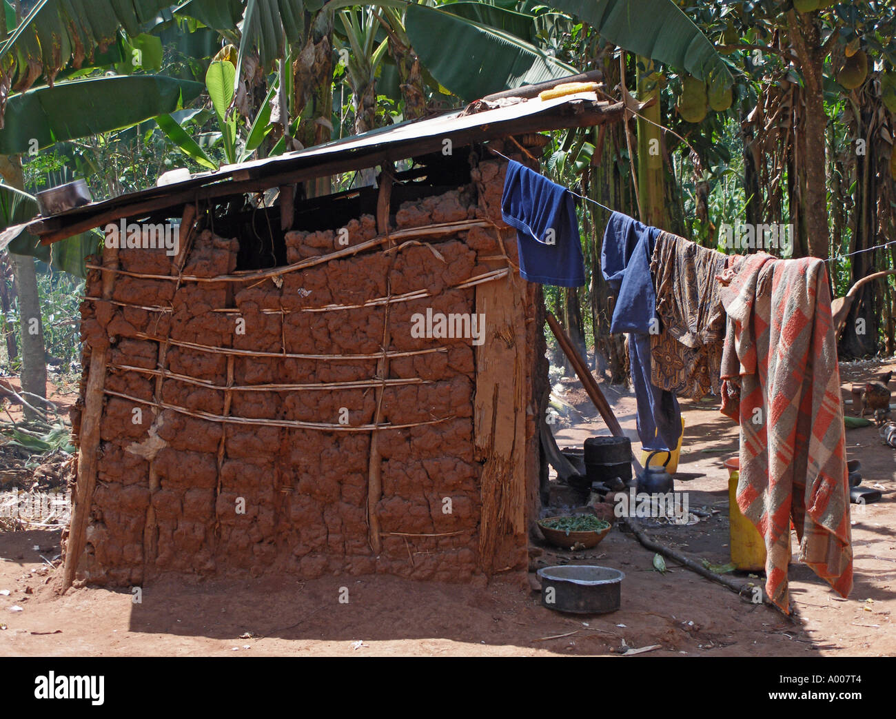 Kochen Bretterbude in einer Vorstadt ugandischen Familie Verbindung Stockfoto