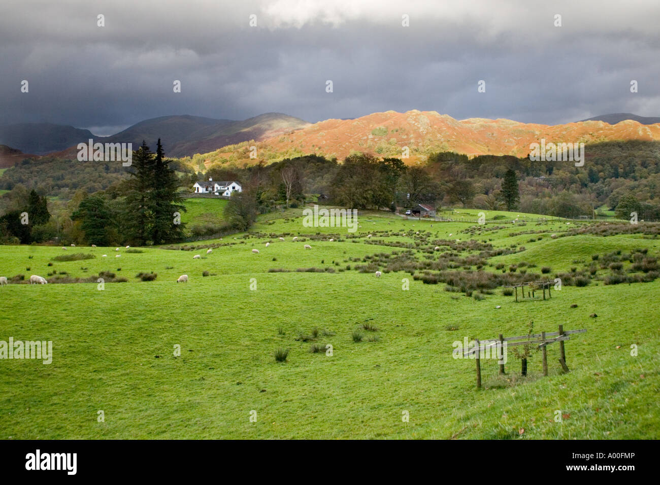 In der Nähe von Ambleside Cumbria England Stockfoto