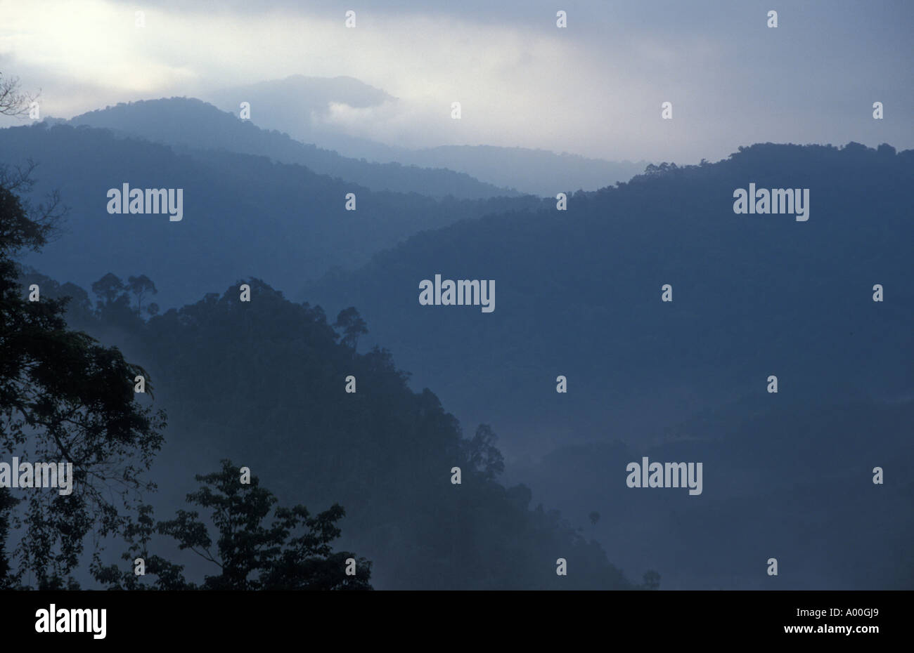 Bergkette bedeckt im Regenwald West Malayia Stockfoto