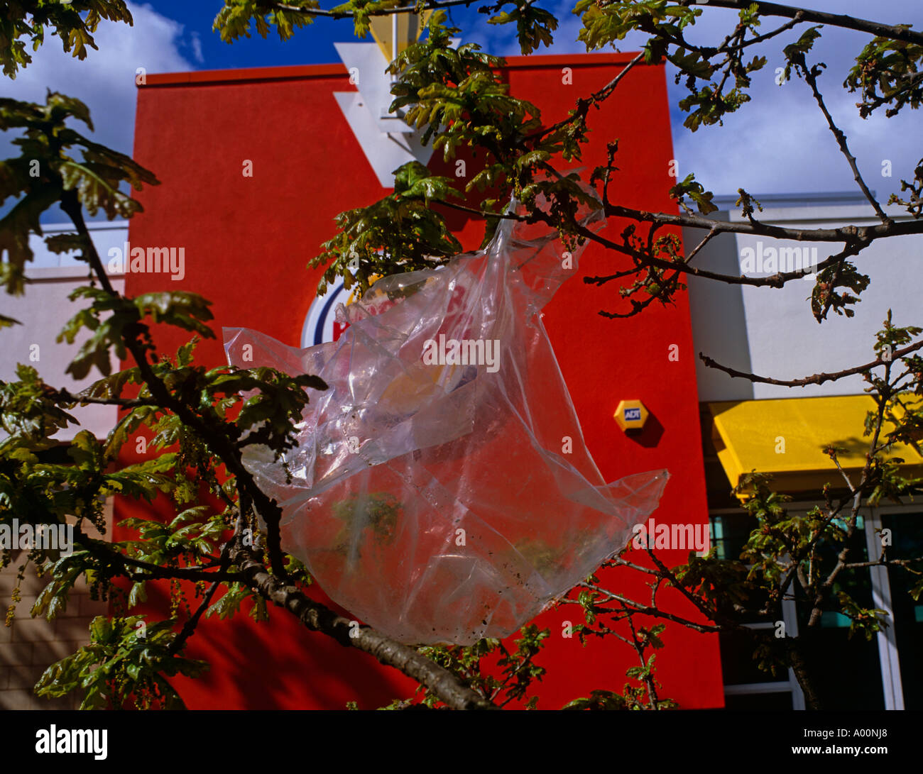 Kunststoff in Eiche gefangen. Abfälle aus der Fast Food-Kette im Retailpark, Cheshire, UK Stockfoto