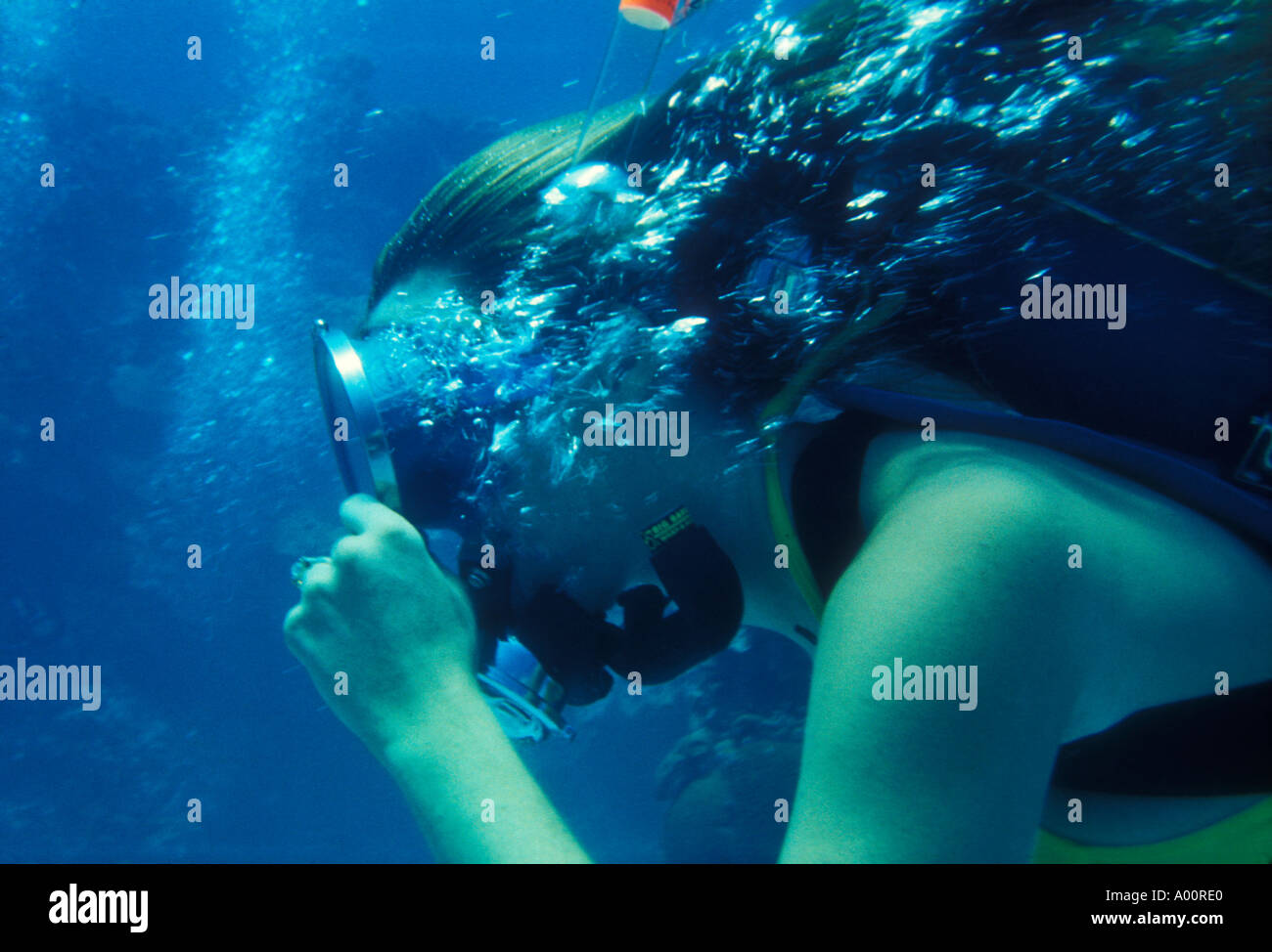 Frau Haut Taucher erkunden Florida Spring USA Stockfoto