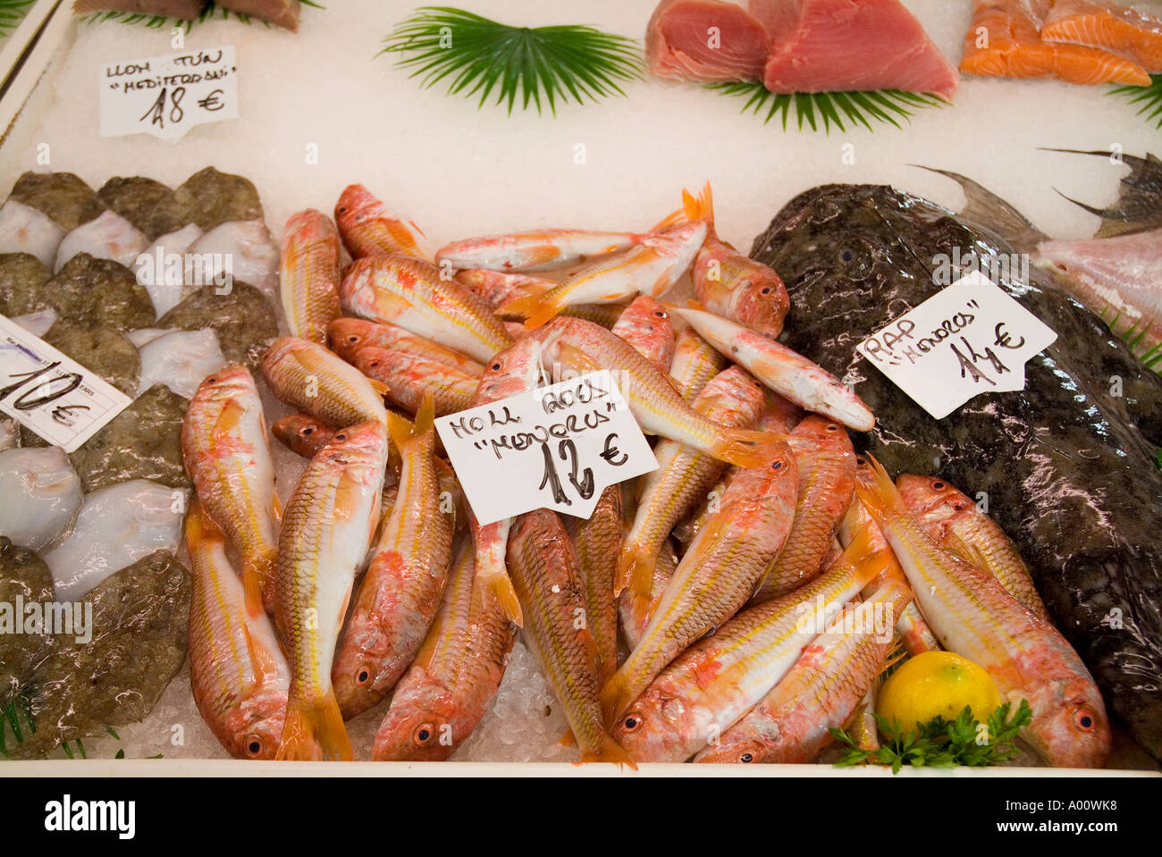dh Claustre del Carme MAHON MENORCA Mahon Fisch auf Eis neuen Indoor-Lebensmittelmarkt frische Produkte Fischhändler mittelmeer Stall rohen Fisch Tablett Stockfoto