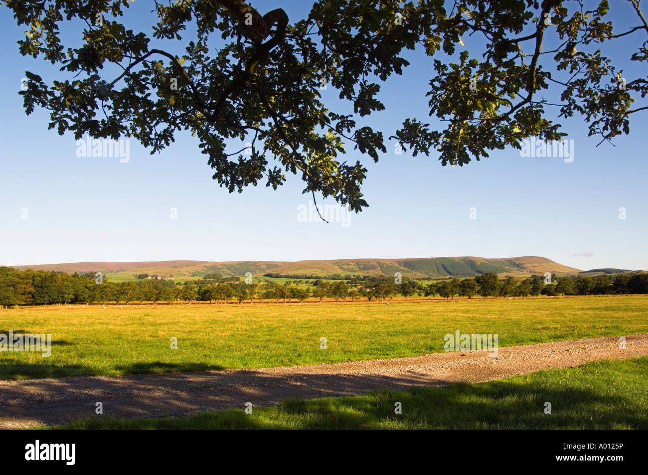 Ackerland in der Nähe von Chipping Lancashire Blick in Richtung Fair Oak verliebte sich in den Wald von Bowland Stockfoto