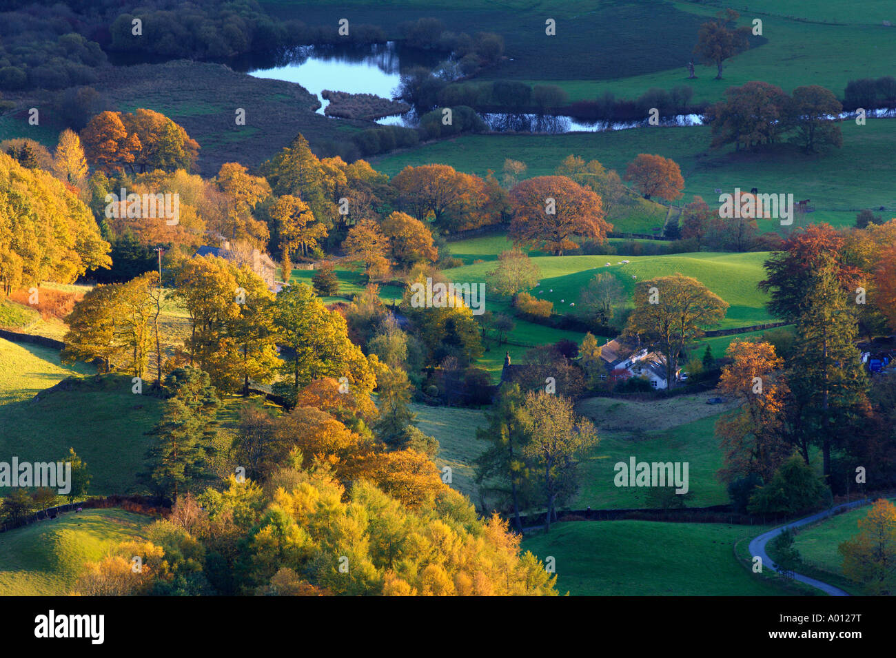 Herbstfärbung von den Hängen des Loughrigg fiel auf Skelwith Pool und dem Fluß Brathay Stockfoto