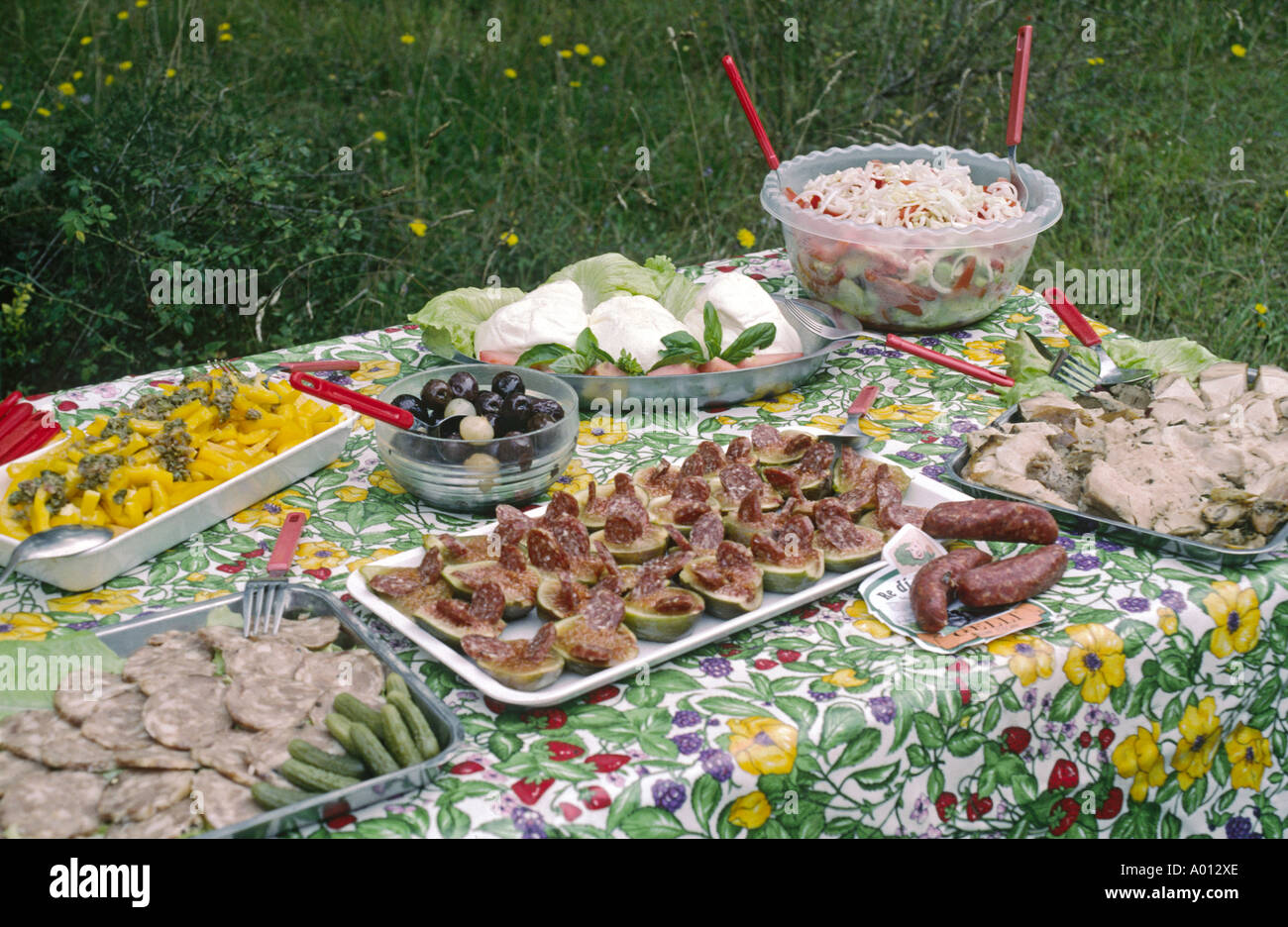 Eine schöne Gourmet-Picknick Salate Käse Hors d Oeuvers Toskana Italien Stockfoto