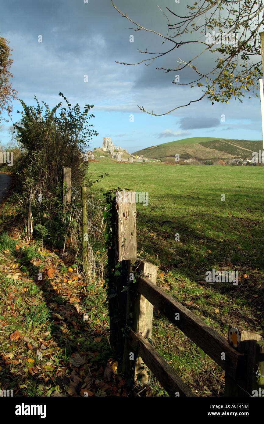 Englische Landschaft mit einem Stil inmitten der Hecke. Purbeck Hills Dorset südlichen England UK Stockfoto