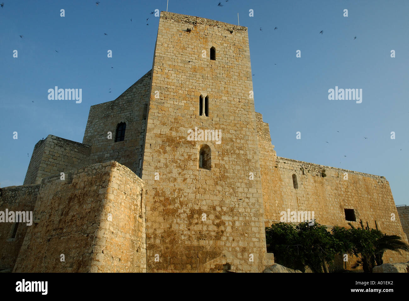 DIE BURG VON PAPST BENEDIKT XIII IN PEÑISCOLA PROVINZ CASTELLÓN DE LA PLANA VALENCIA, SPANIEN Stockfoto