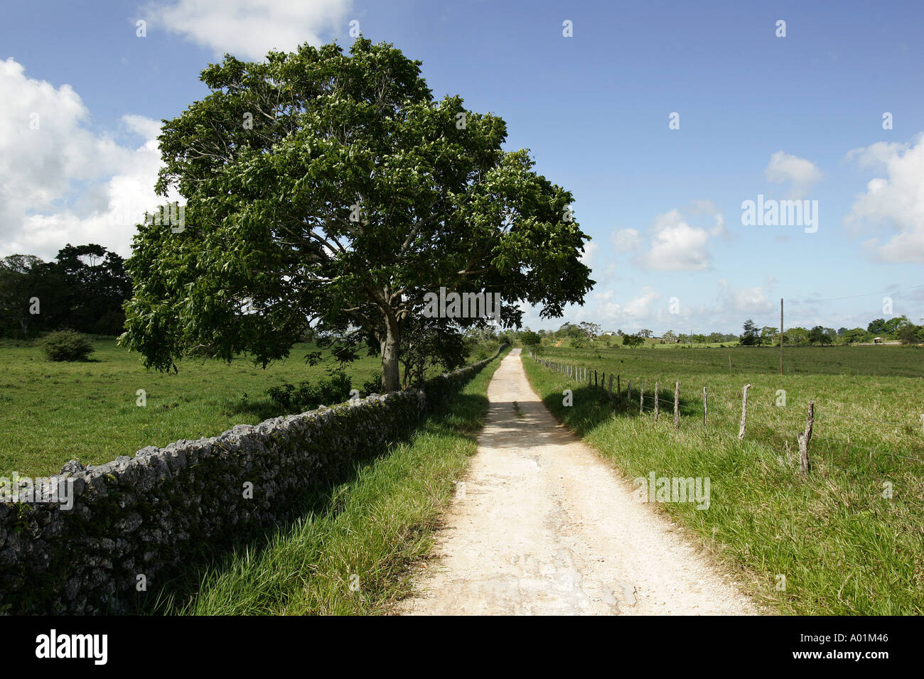 Landstraße, Jamaika Stockfoto