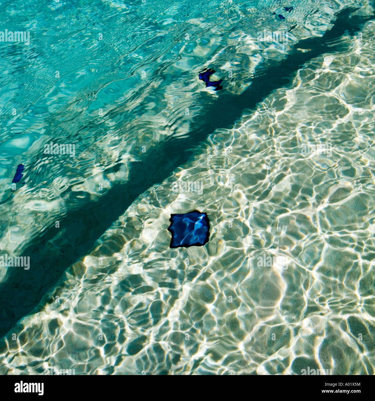 Blauwasser am Rande eines Swimmingpools Stockfoto