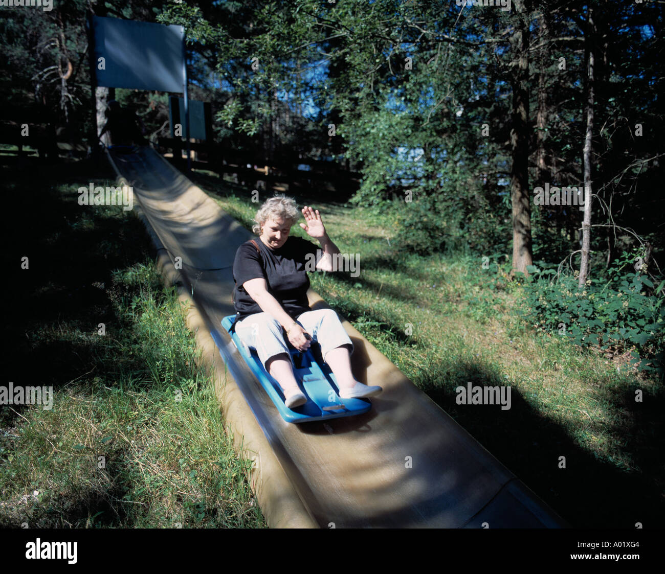 D-Bodenmais, Naturpark Bayerischer Wald, Bayern, Bobbahn Stockfoto