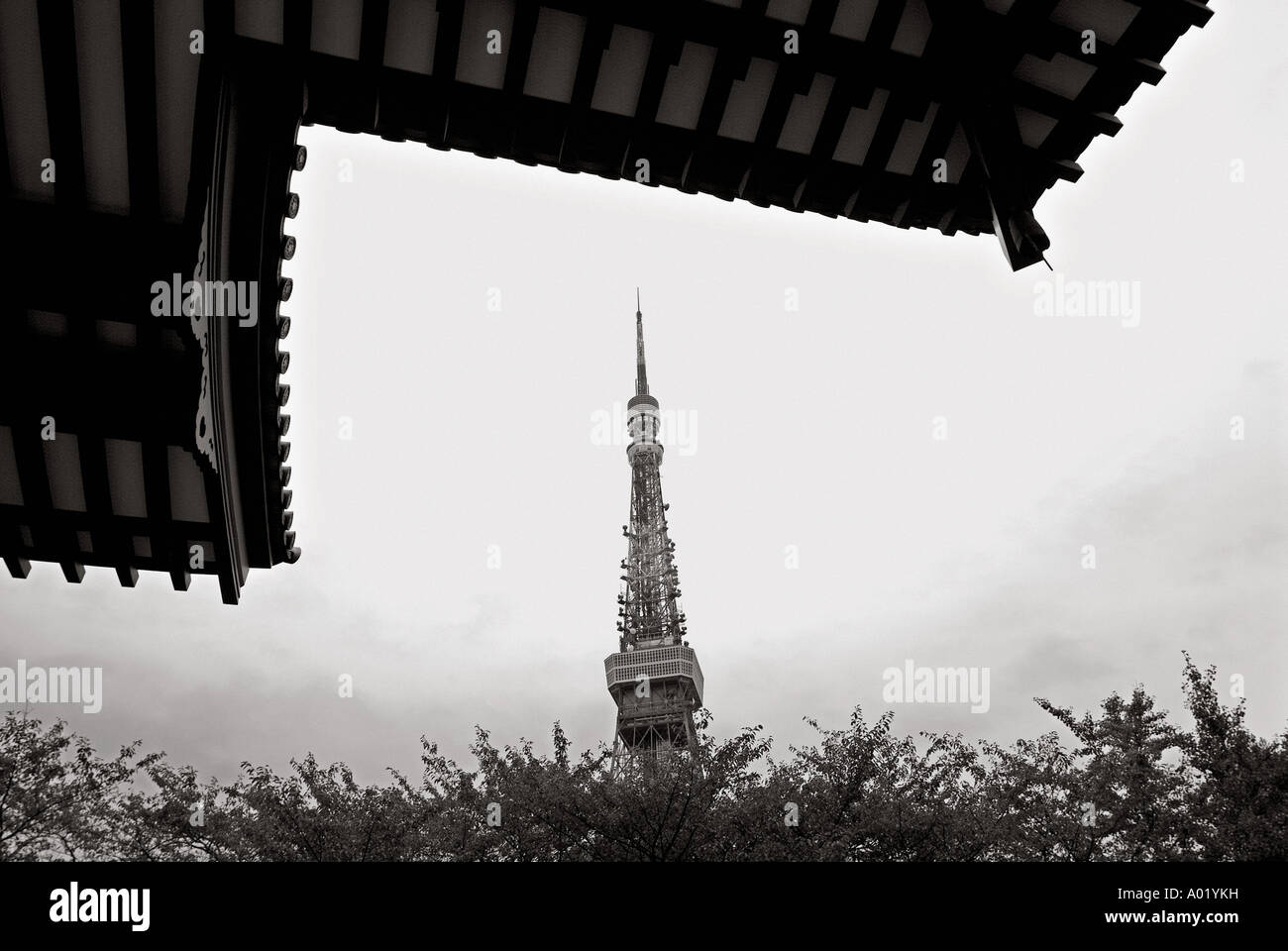 San'en-Zan Kodo-in Zojoji (Zojoji Tempel). Tokyo Tower auf Rückseite. Minato-Ku Bezirk. Tokyo. Japan. Stockfoto