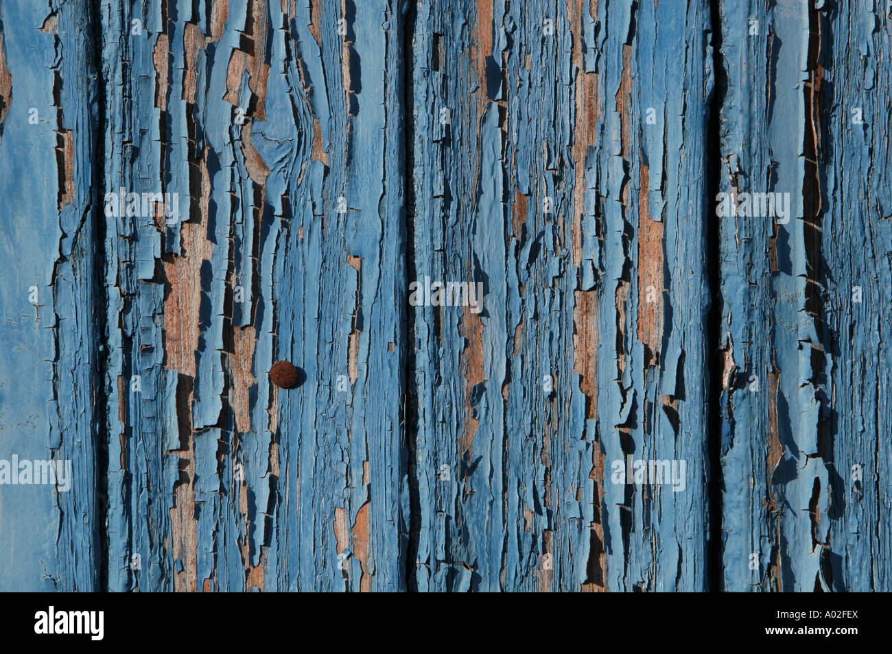 abblätternde blaue Farbe auf der Seite eine Holzhütte Stockfoto