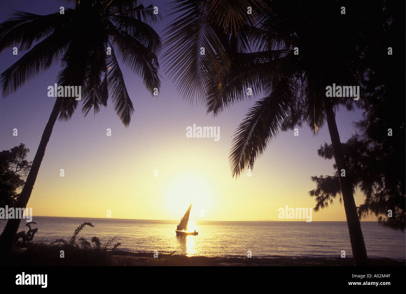 Untergehende Sonne und Segelboot, umrahmt von Palmen gesehen vom Campingplatz Vilankulo zentralen Mosambik Stockfoto