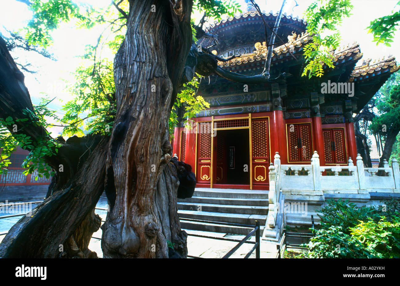 Chinesischer Tempel in der verbotenen Stadt Peking-China Stockfoto