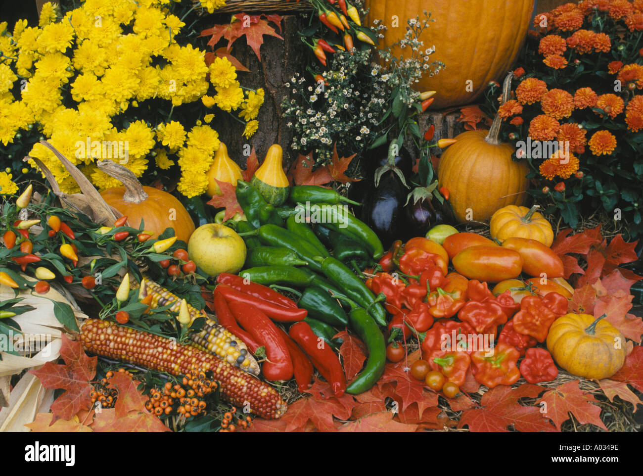 Ernte von Gemüse Obst und Blumen auf Tabelle am Bauernmarkt in Vermont angezeigt Stockfoto