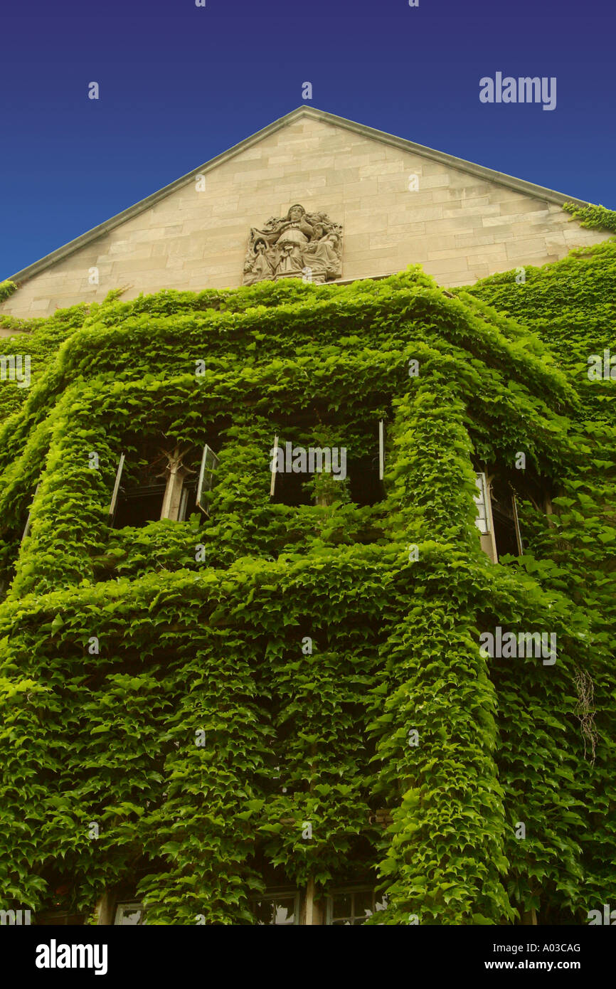 Ivy auf der Vorderseite des Ida Noyes Hall auf dem Campus der University of Chicago. Stockfoto
