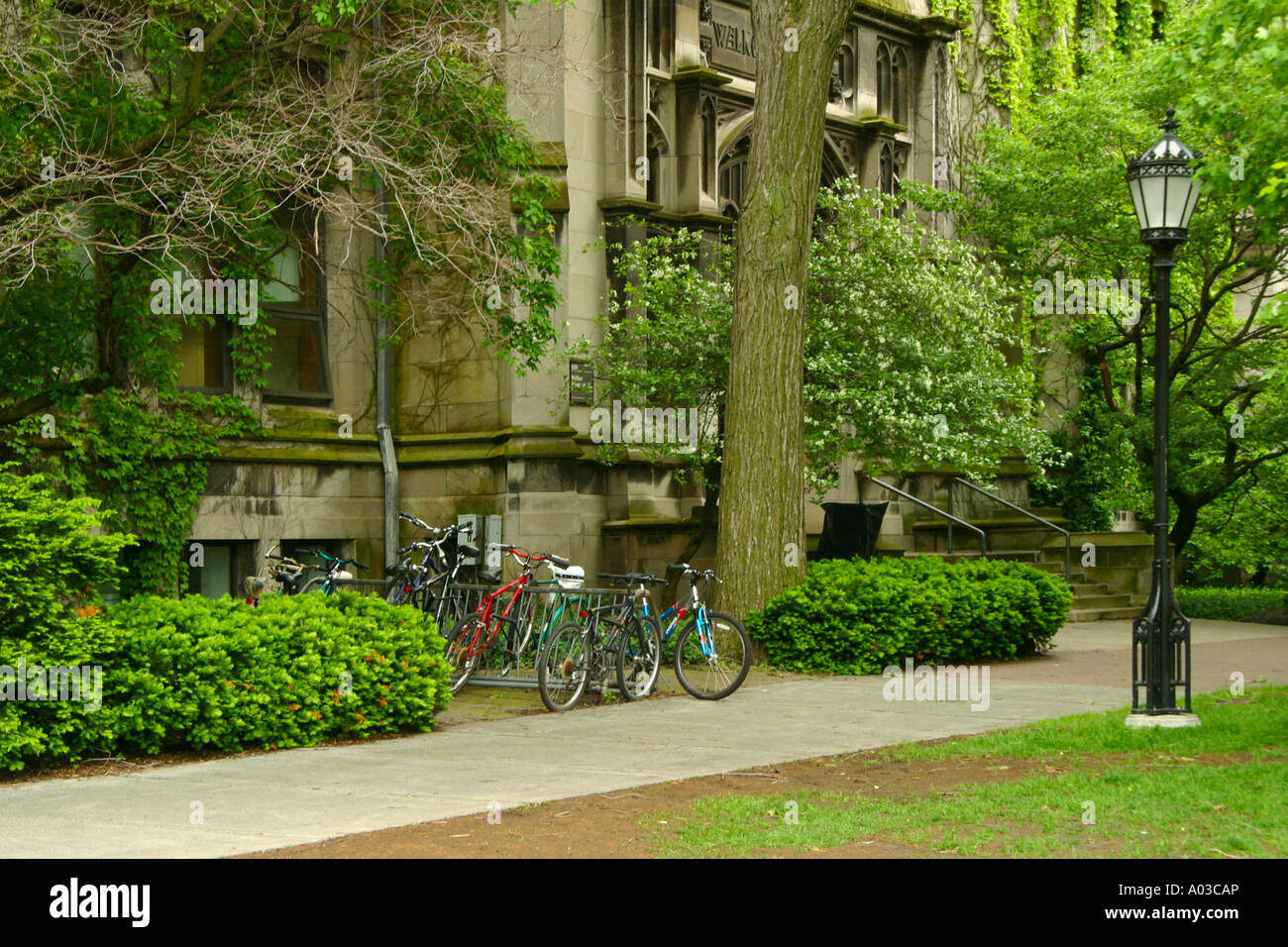 Fahrräder, Bäume, Rasen und gotische Architektur der Universität auf dem Campus der University of Chicago. Stockfoto