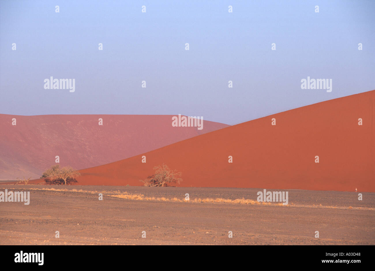 Düne 45 Sesriem Namib Naukluft Park Namibia 2000 Stockfoto