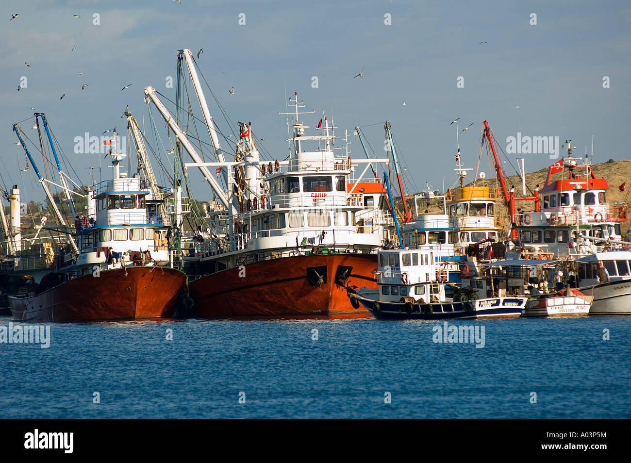 Angelboote/Fischerboote in Foca Izmir Türkei. Stockfoto