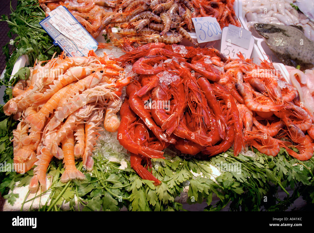 Markt, Castellon De La Plana, Provinz Castellon, Spanien Stockfoto