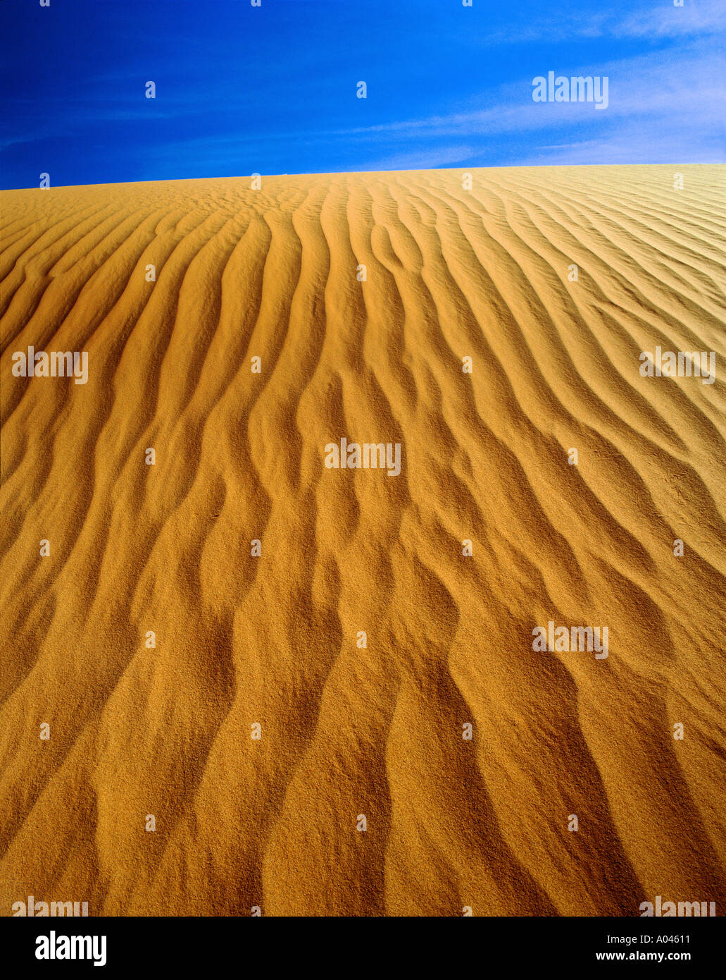 USA Arizona Monument Valley hautnah Sanddüne und Wellen Stockfoto