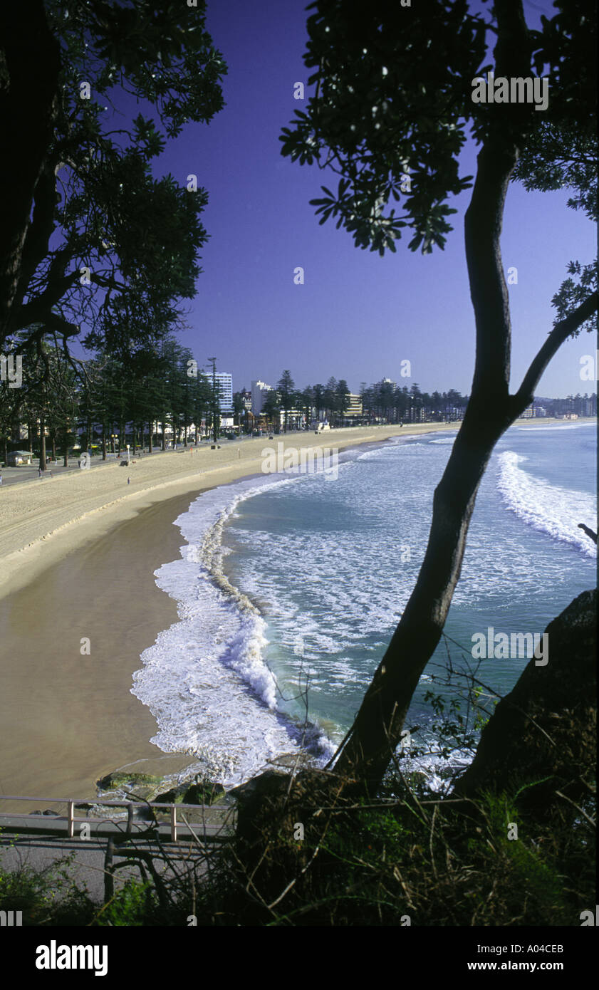 Manly Beach Manly Sydney Manly Australien Stockfoto