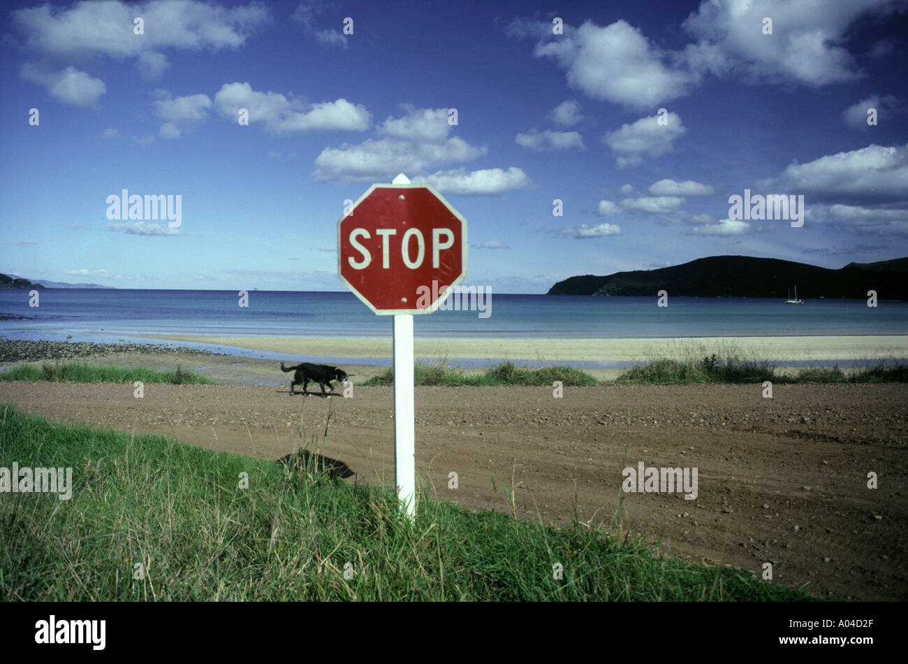 Schwarzer Hund und Stop-Schild in Neuseeland Stockfoto