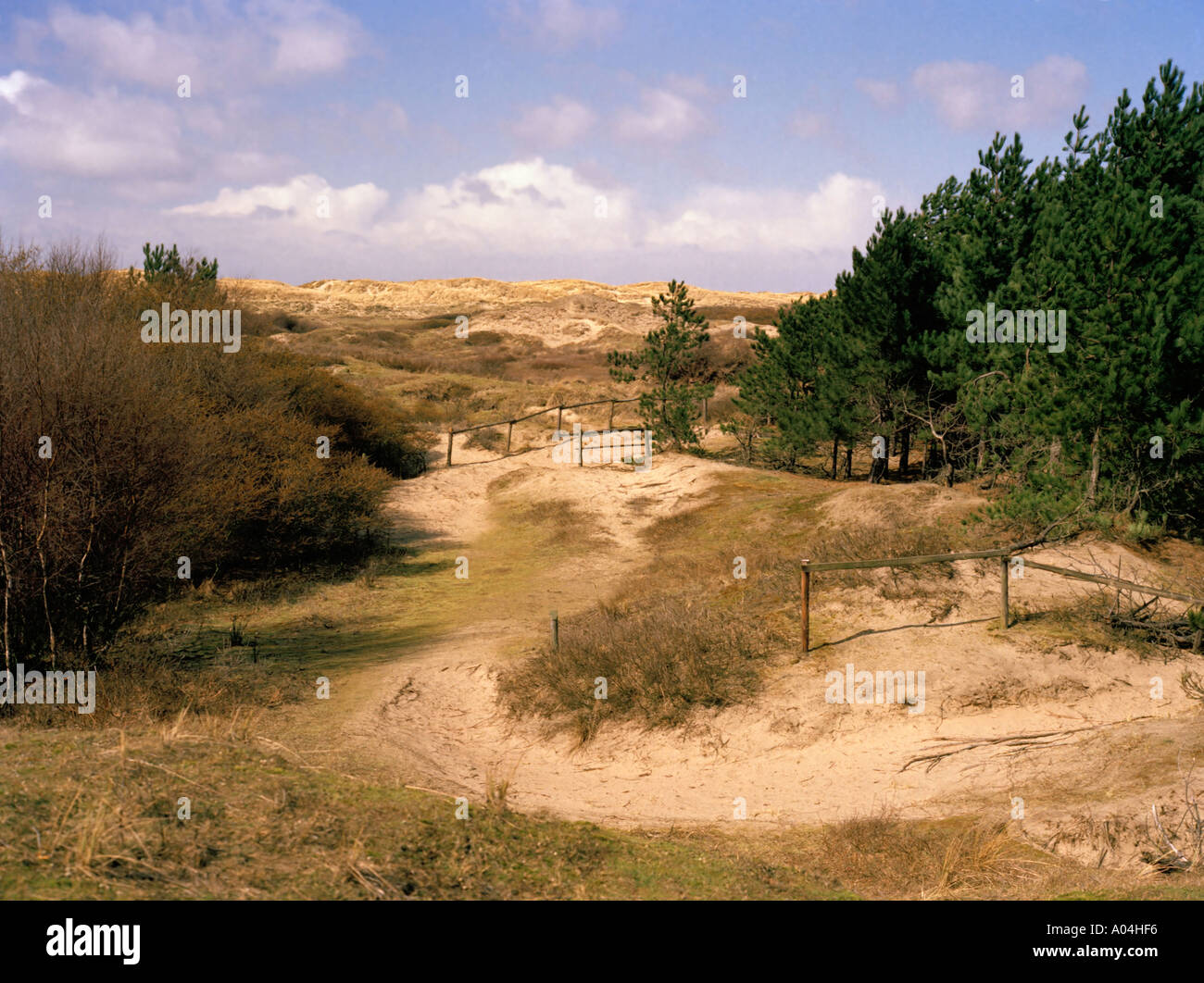 Ainsdale Sanddünen nationalen Naturreservat Formby Lancashire Stockfoto