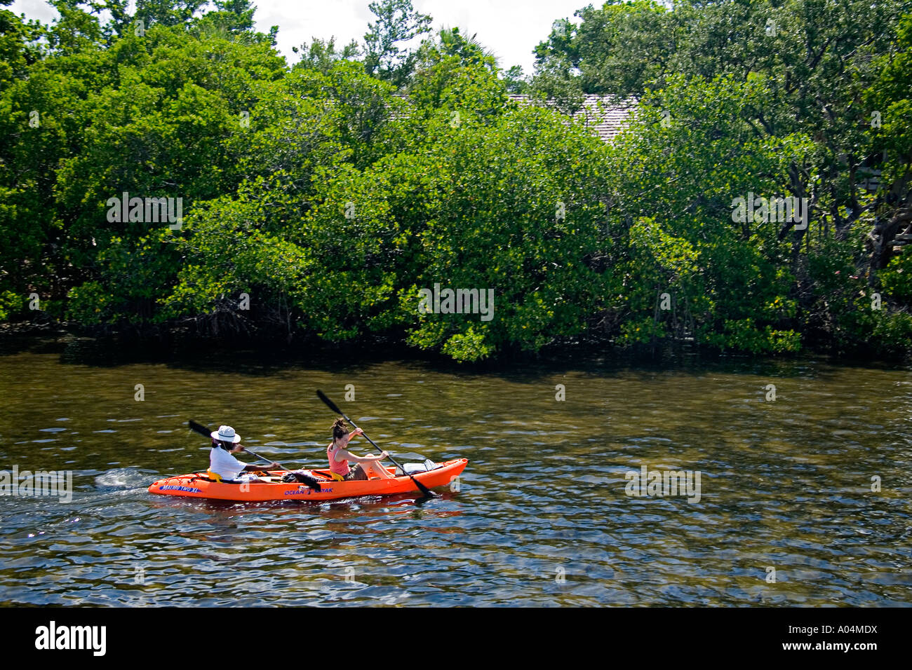 Kajak in See lohnt sich eine erhaltene unberührten Mündung John D MacArthur Beach State Park North Palm Beach Florida Stockfoto