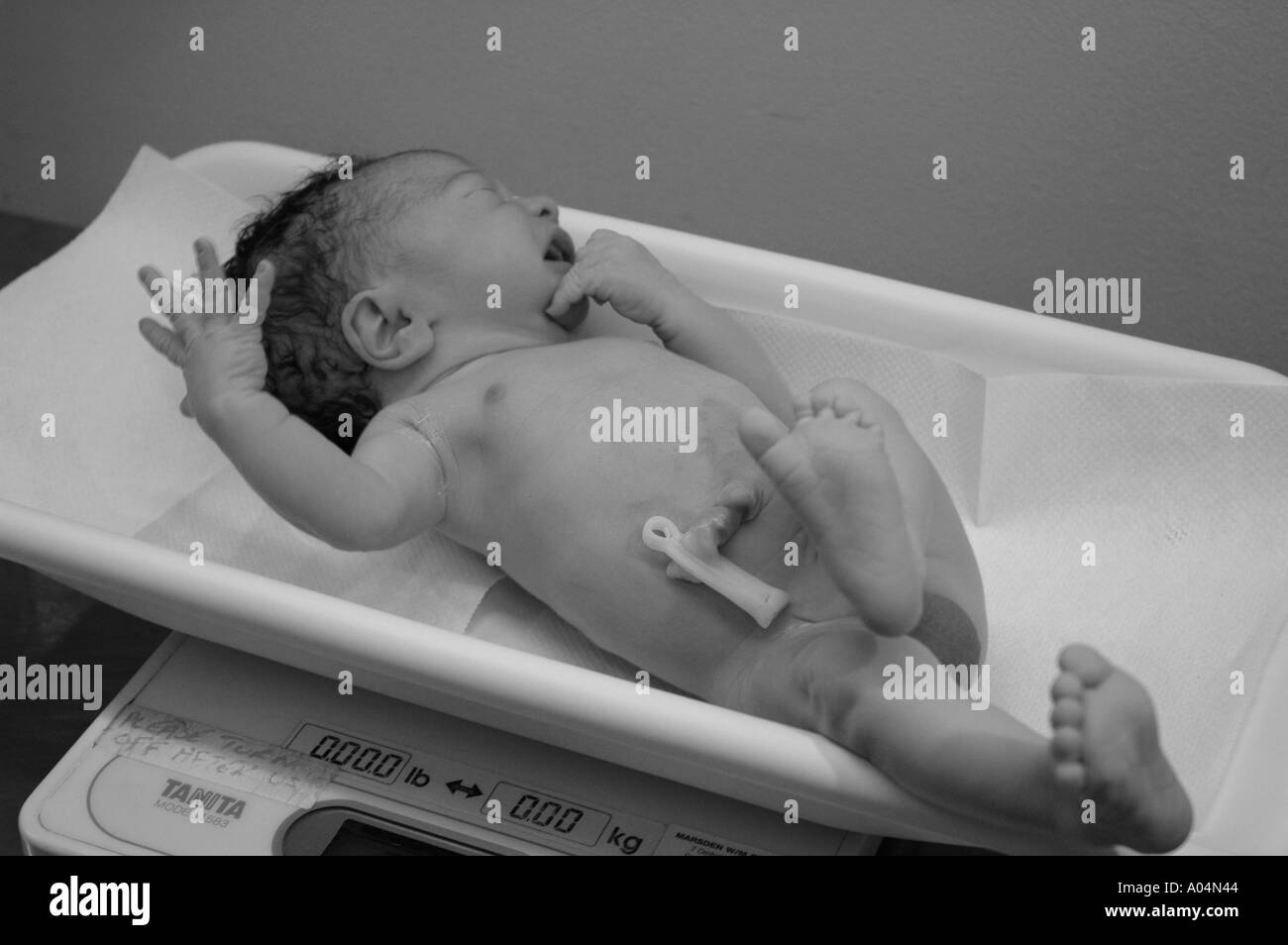 Neugeborenes Baby wird durch die Hebamme nach der Geburt gewogen Stockfoto