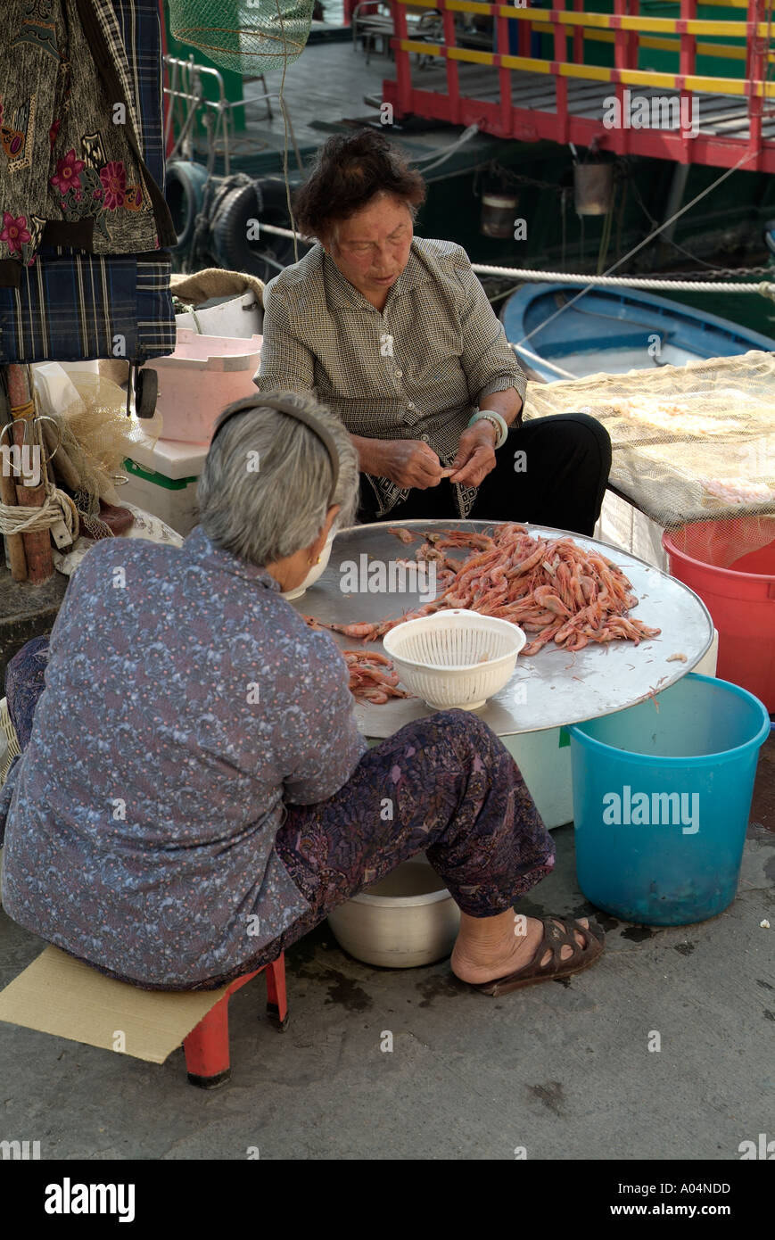 dh Chinesische Frauen Fischmarkt ABERDEEN HONGKONG Sortierung frisch Meeresfrüchte Garnelen am Kai Ältere Menschen Ältere Frau china Essen Lokale Schalentiere Stockfoto