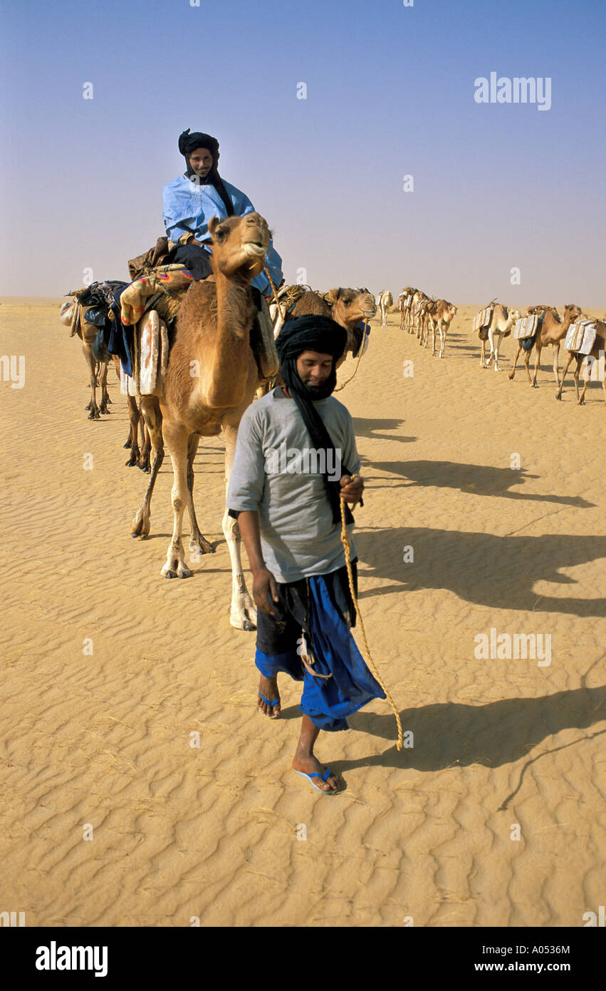 Salz Wohnwagen in großen Sahara Mali, Afrika. Stockfoto