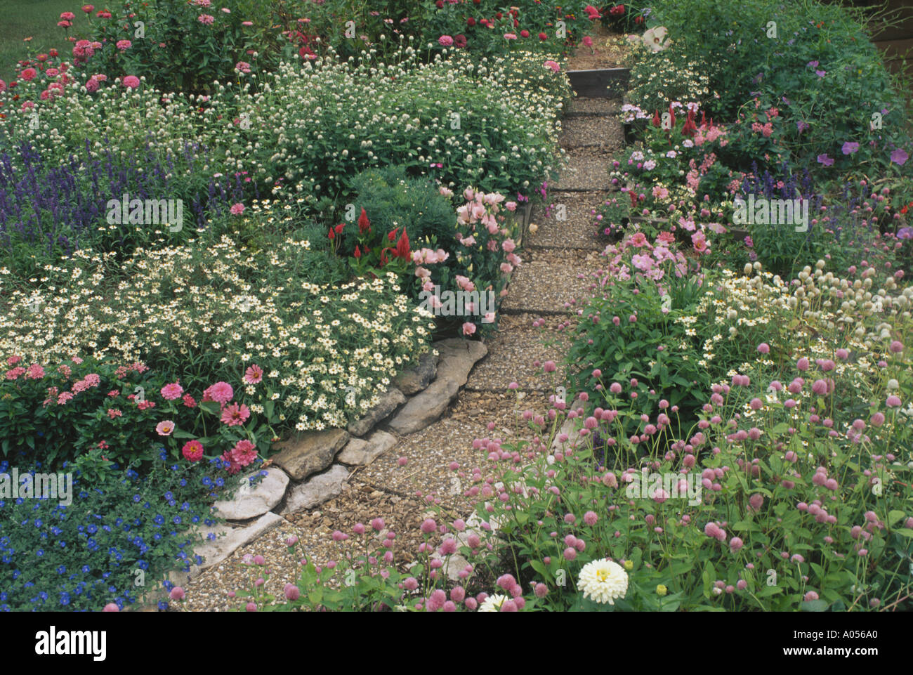 Cottage Garden Path in Rosa und pastellfarbenen Blüten mit Aggregat