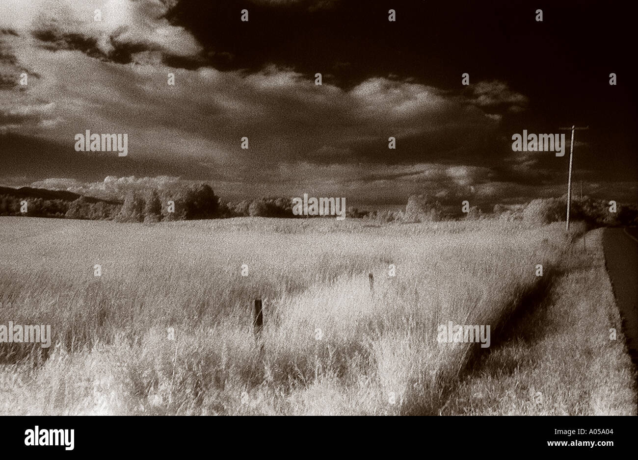 Land-Felder Stockfoto