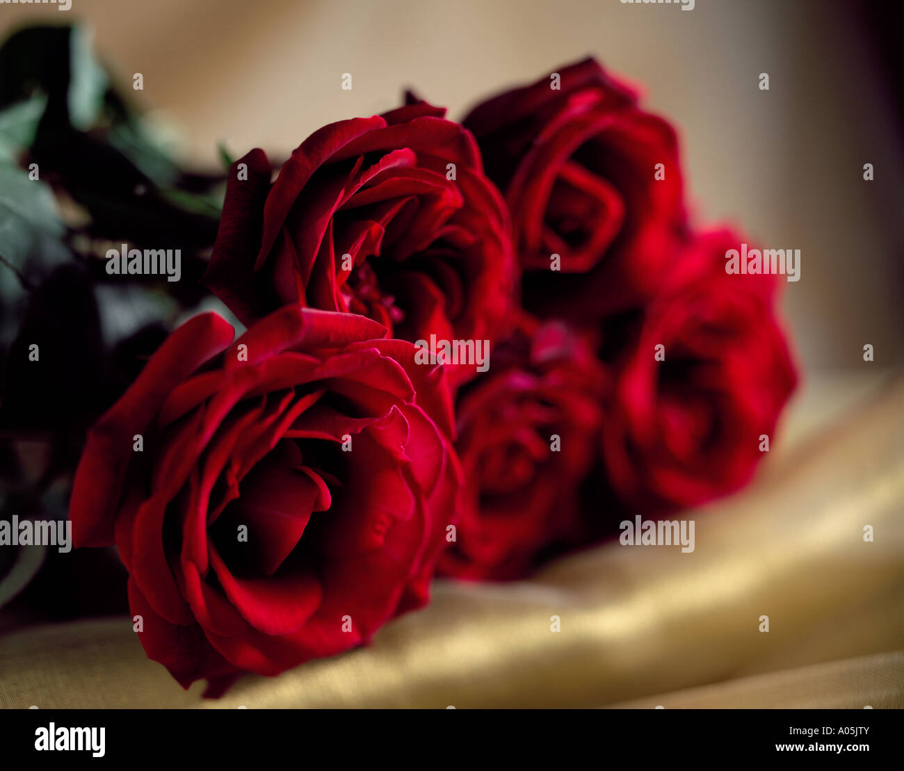 Ein Strauß roter Rosen auf etwas gold Seide Stockfoto