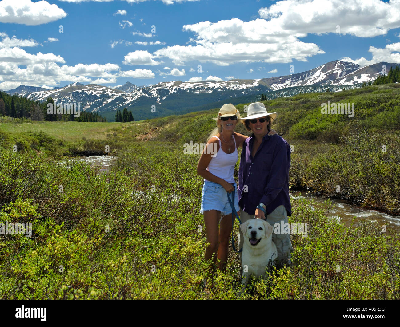 paar walking Hund auf Wiese in der Nähe von Summit Vail Colorado USA Rocky Mountains Stockfoto