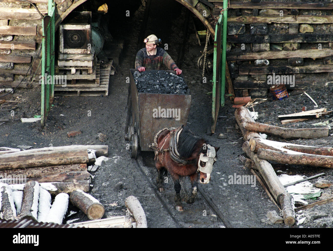 Ein Pit Pony arbeiten bei einem Kohle mine in Pant y Gassedd Wales UK Stockfoto