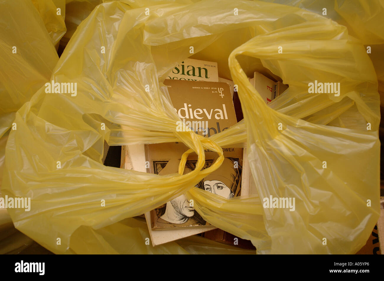 Englische Bücher aus zweiter hand in Plastiktüten Stockfoto
