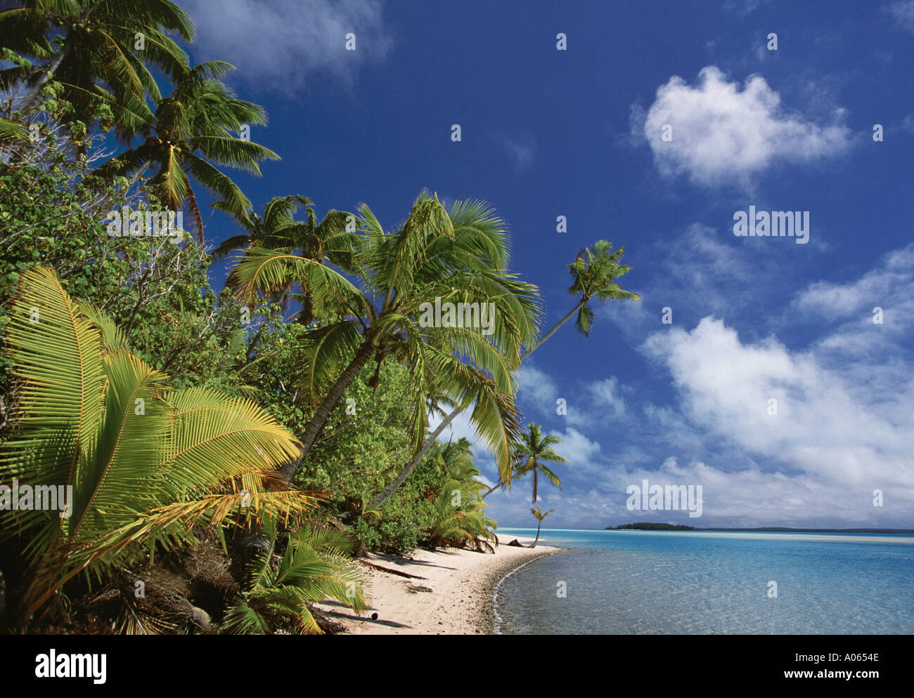 Palmen und Strand One Foot Island in der Nähe von Aitutaki Cookinseln Südsee Stockfoto
