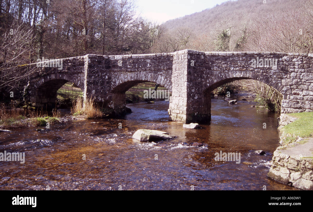 Fingle Bridge über den Fluß Teign in der Nähe von Drewesteignton auf Dartmoor Stockfoto