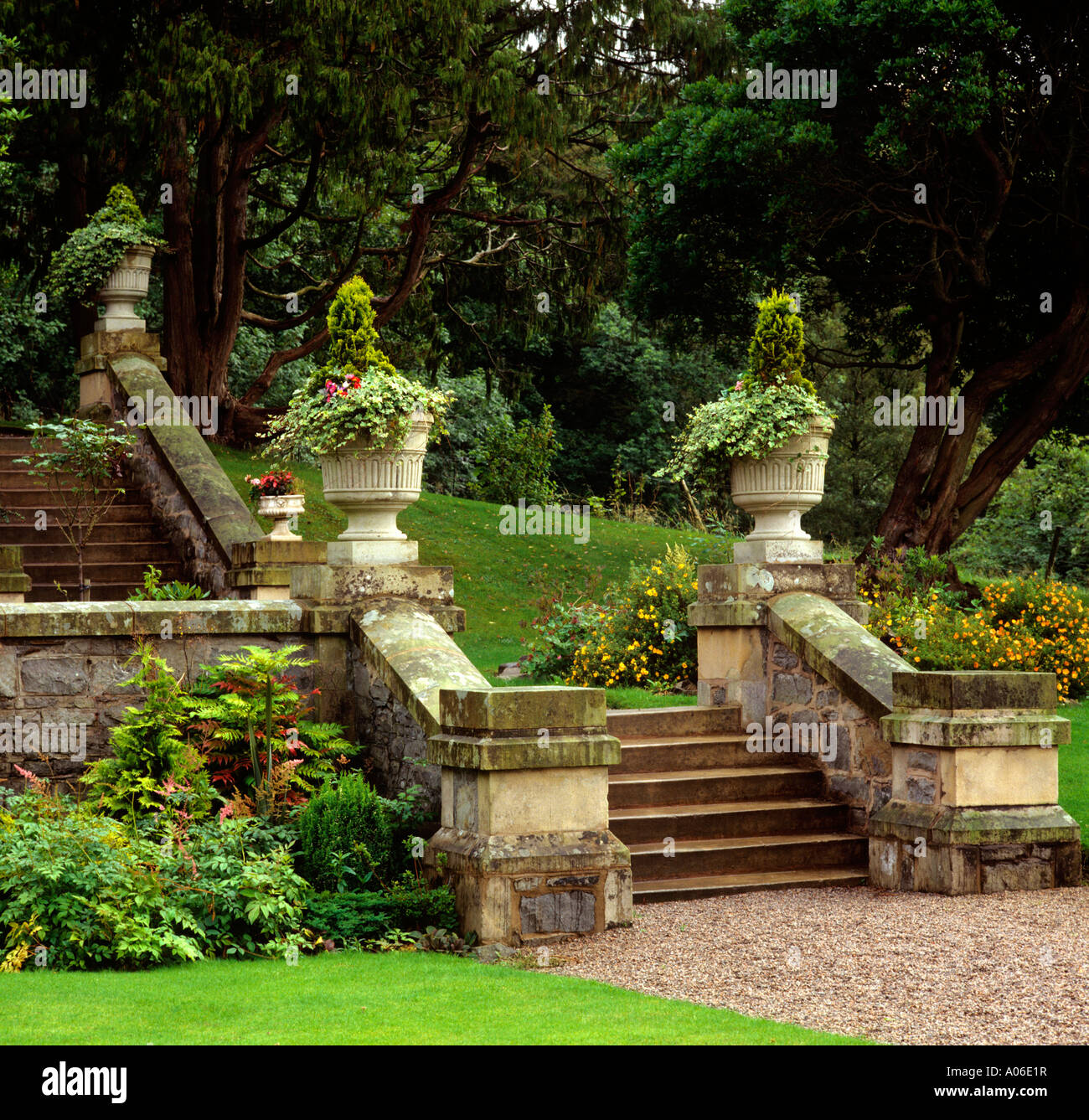 Dekorative Laub Einpflanzen und Urne im Lake District Garten Gartenarbeit Stockfoto