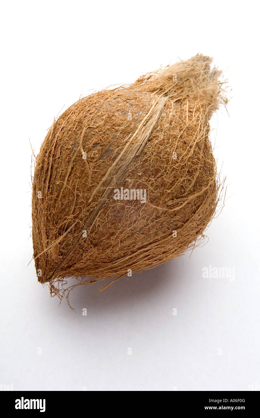 Ganze Kokosnuss auf ein weißes Studio-Hintergrund. Stockfoto