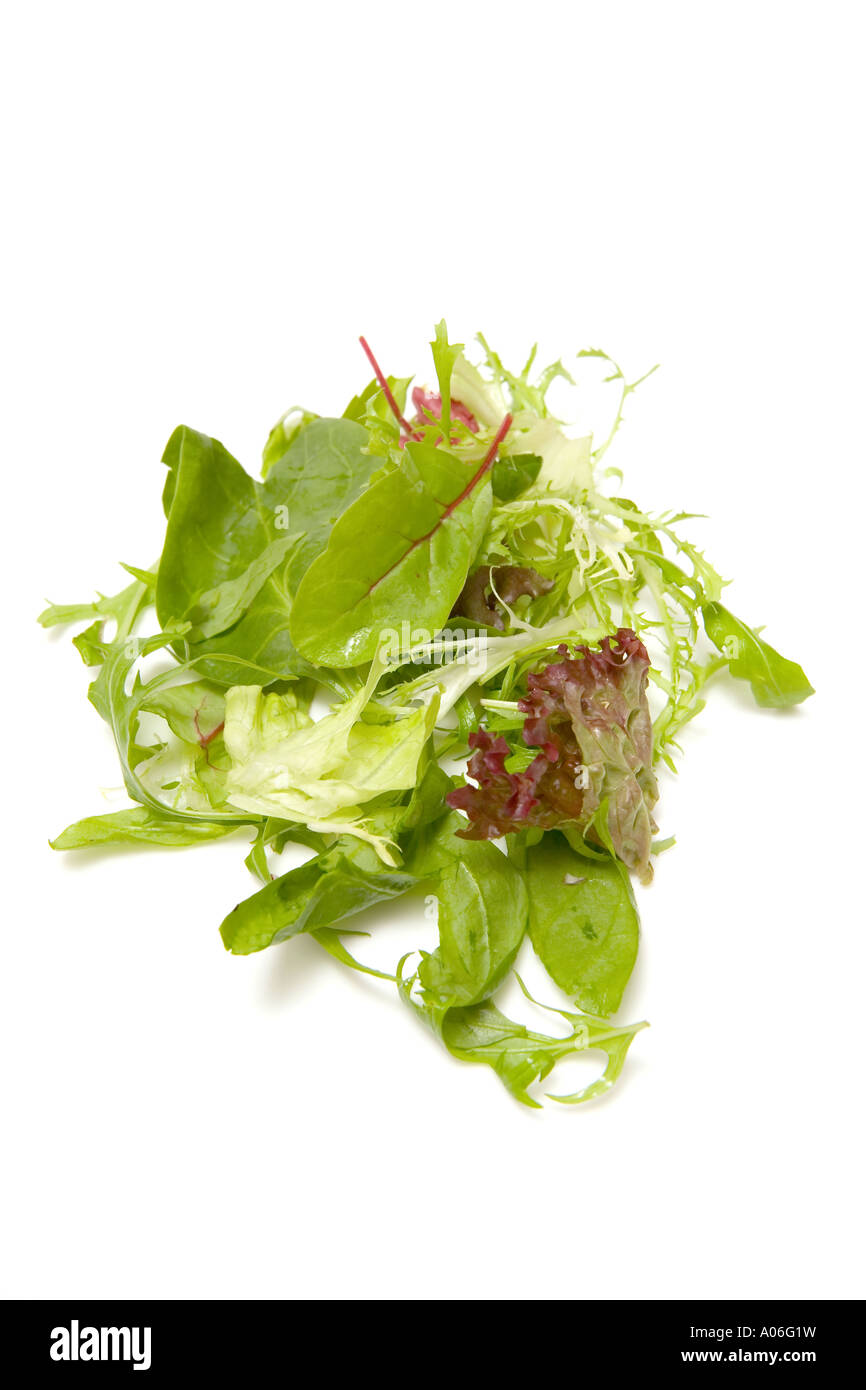Gemischter Blattsalat isoliert auf einem weißen Studio-Hintergrund. Stockfoto
