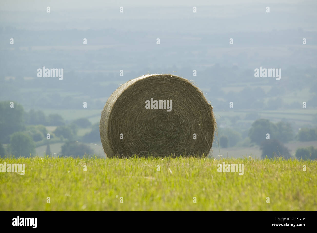 Heuballen im Feld Melbury Hill Stockfoto