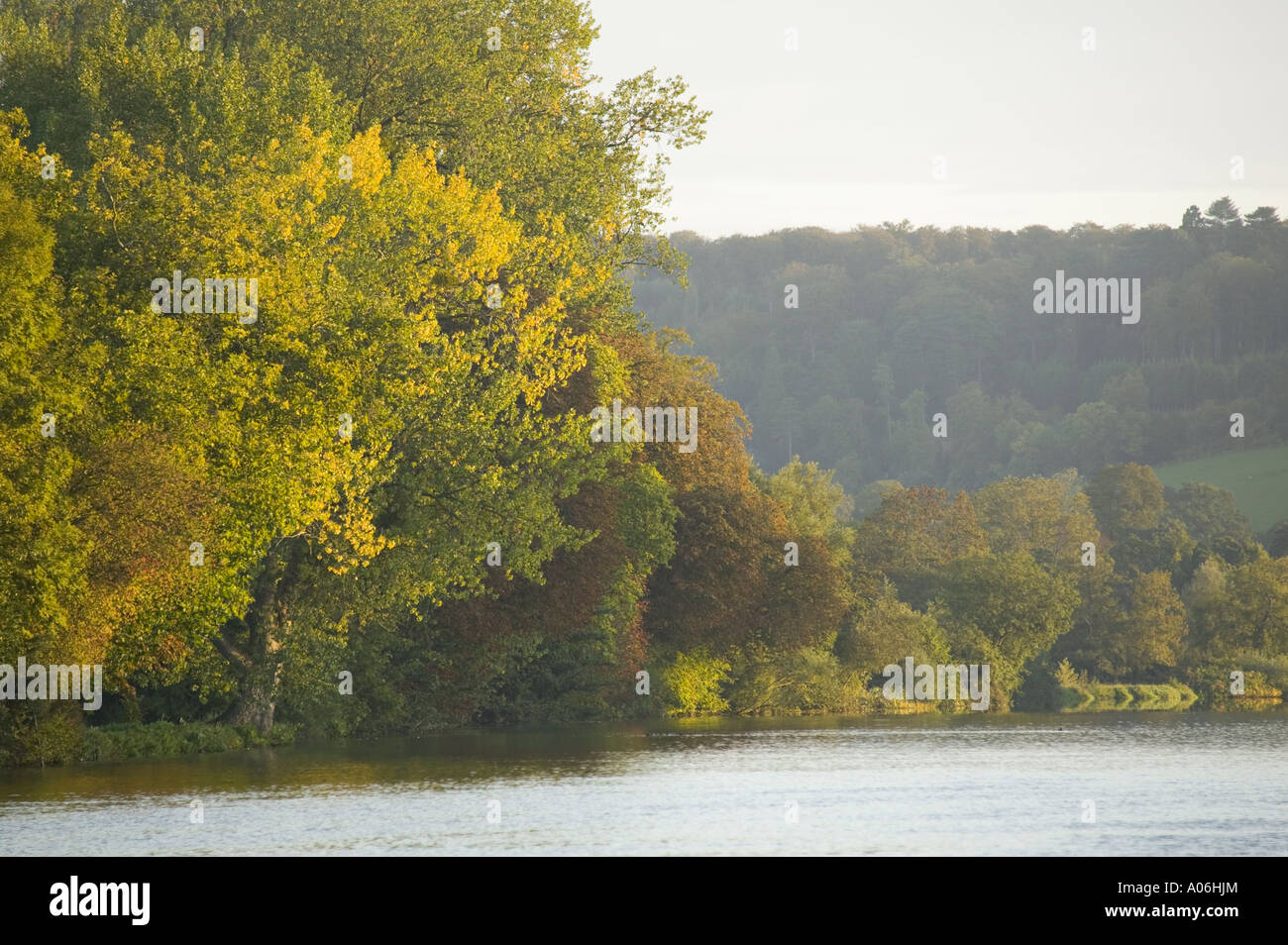 Herbstliche blätterte Bäume am Ufer Themse Stockfoto